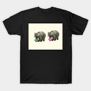 A Bear Romance T-Shirt